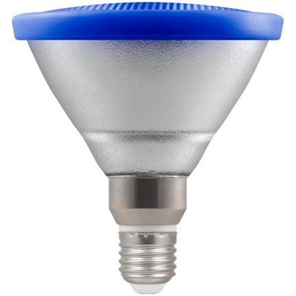 Picture of LED PAR38 Blue Bulb 13W 4528